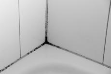 Piccole tracce di muffa nelle fughe delle piastrelle di ceramica 